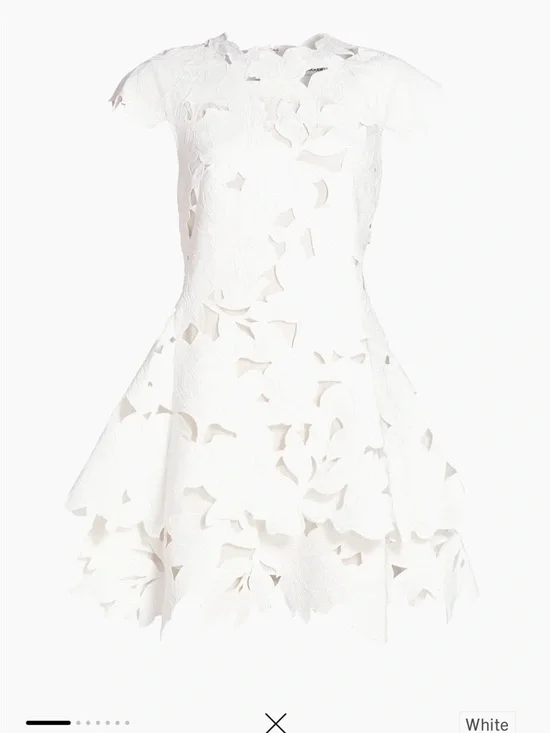 Simkhai Holloway embroidered lace mini dress - Picture 6 of 8